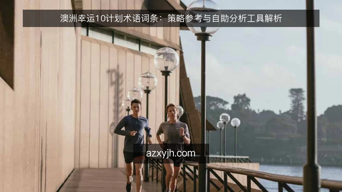 澳洲幸运10计划术语词条：策略参考与自助分析工具解析
